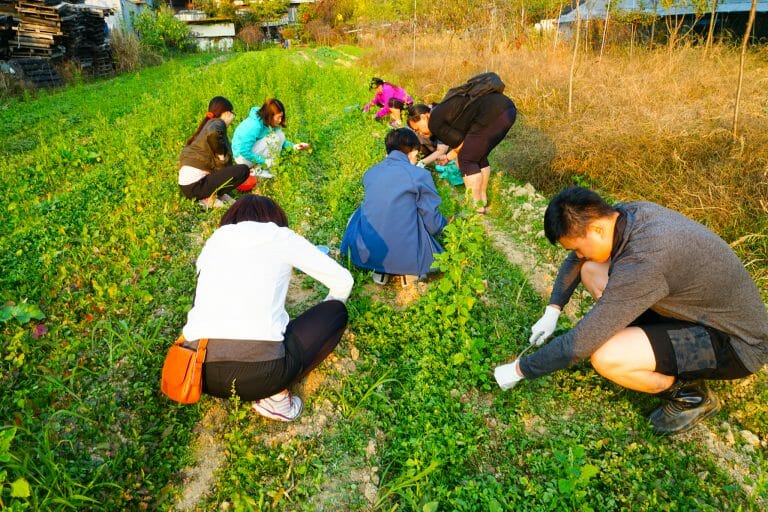 penang korean class
uBitto
korea field trip
farmping
farming
camping
korea
fresh vegetables