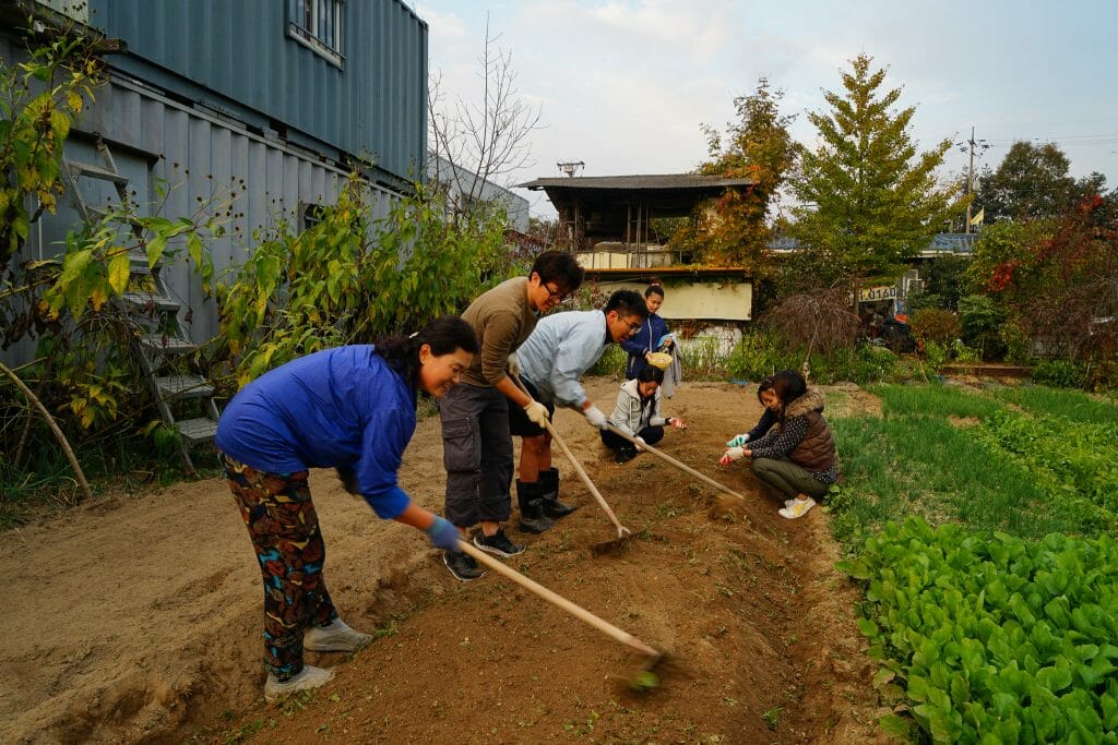 penang korean class
uBitto
korea field trip
farmping
farming
camping
korea
fresh vegetables