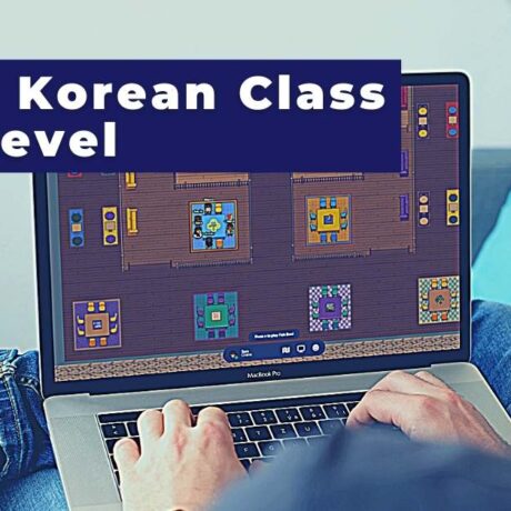 Korean Metaverse Live Class (Seed)